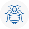 Bed Bug Extermination In Leicestershire